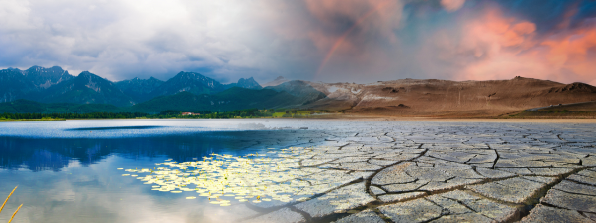 OUI POUR LE CLIMAT !