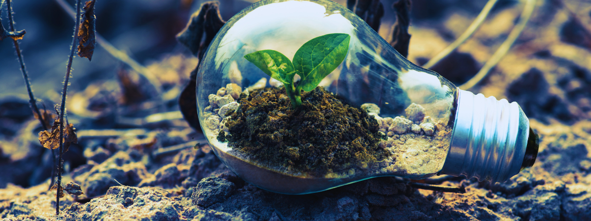 DEP : leçons d’un échec et promesse d’un nouveau départ